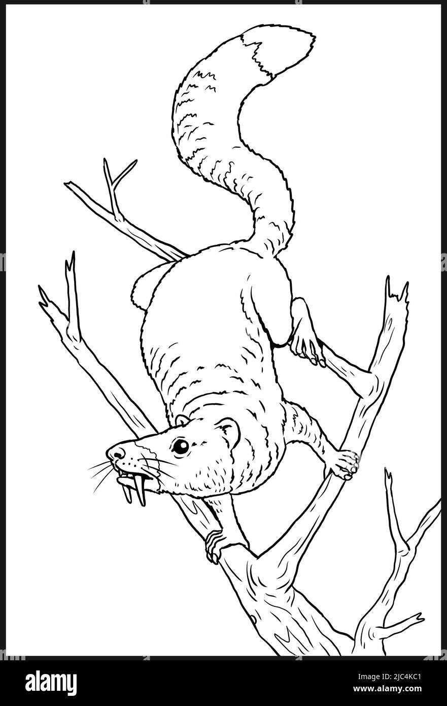 Animaux préhistoriques - écureuil saboté. Dessin avec des mammifères éteints. Dessin de silhouette pour livre de coloriage. Banque D'Images