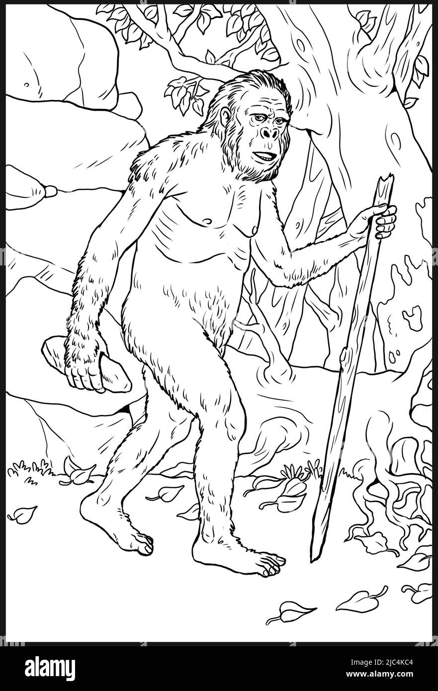 Primates préhistoriques australopithecus. Ancêtres des humains pour le livre de coloriage. Banque D'Images