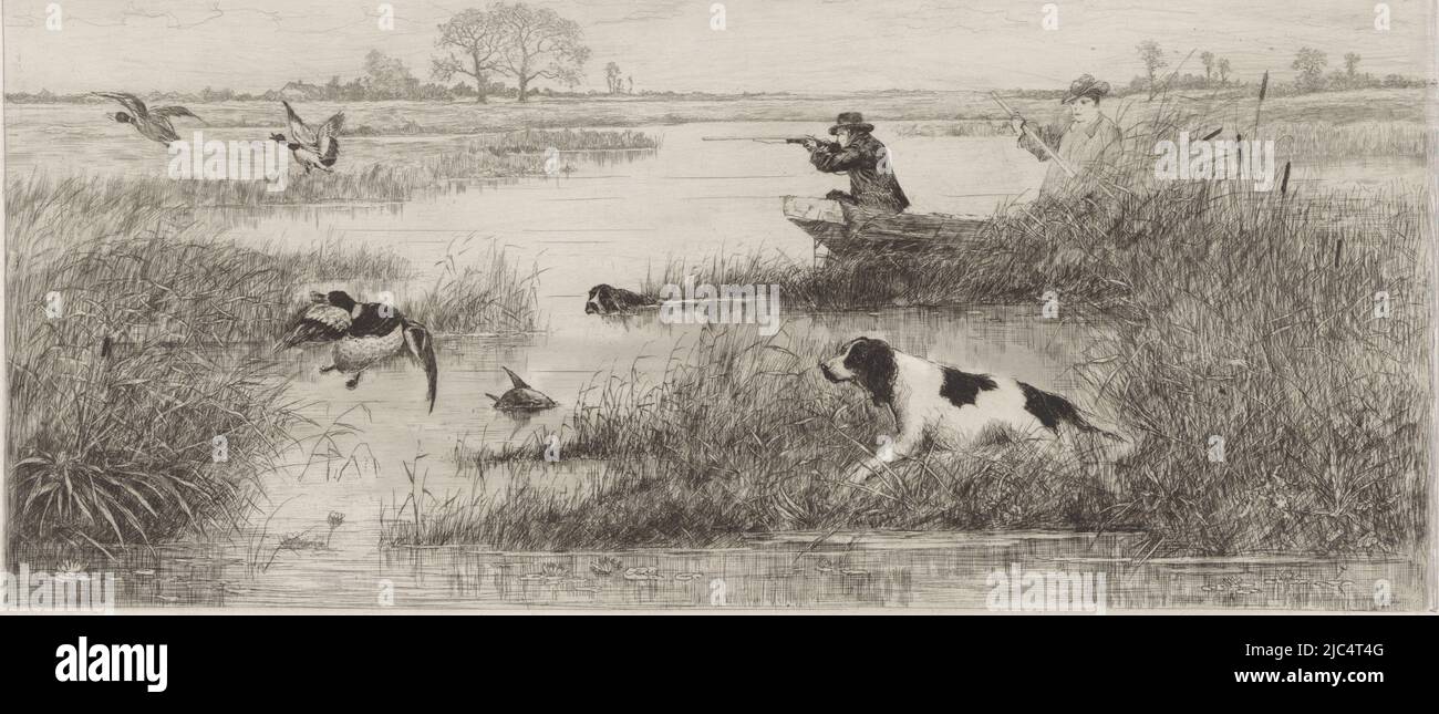 Derrière les roseaux se trouve une barge dans laquelle se trouve un chasseur, qui arcale son fusil, et un homme, qui propulse la barge. Le chasseur vise deux canards qui volent vers la gauche. Dans l'eau un chien de natation et un canard de grenaille. Au premier plan un chien parmi les roseaux., chasse au canard, imprimeur: Elias Stark, Nieuwer-Amstel, 1859 - 1891, papier, gravure, h 500 mm × l 688 mm Banque D'Images