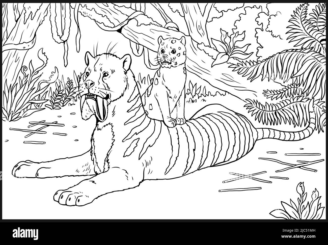 Prédateurs préhistoriques - thylacosmilus avec cub. Dessin avec un prédateur félin éteint. Modèle pour livre de coloriage avec sabre-tooth. Banque D'Images