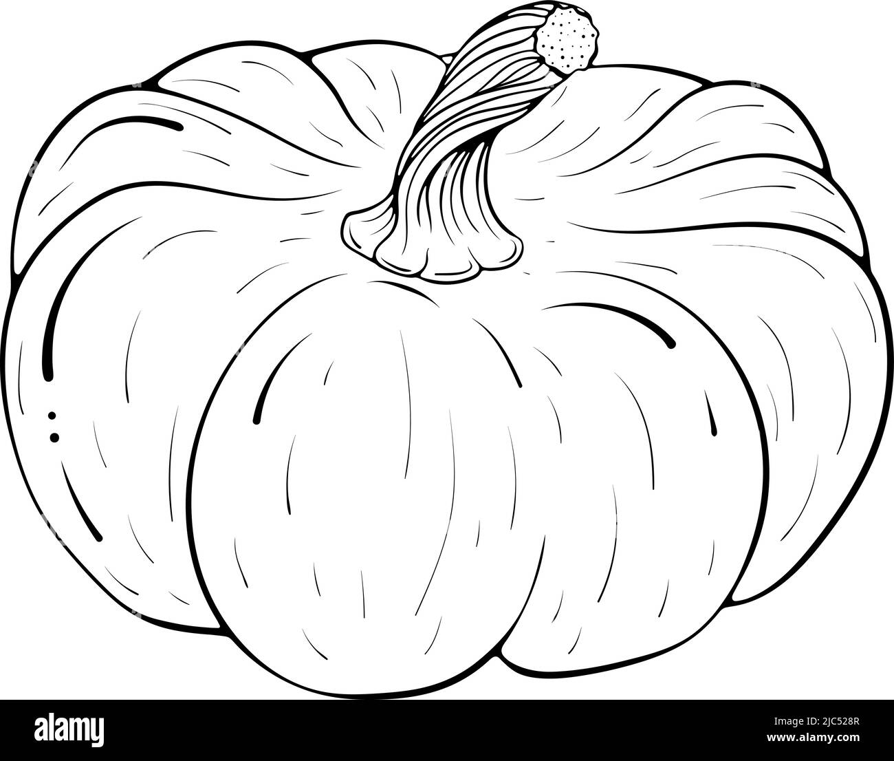 Art de la ligne de citrouille entière Illustration de Vecteur