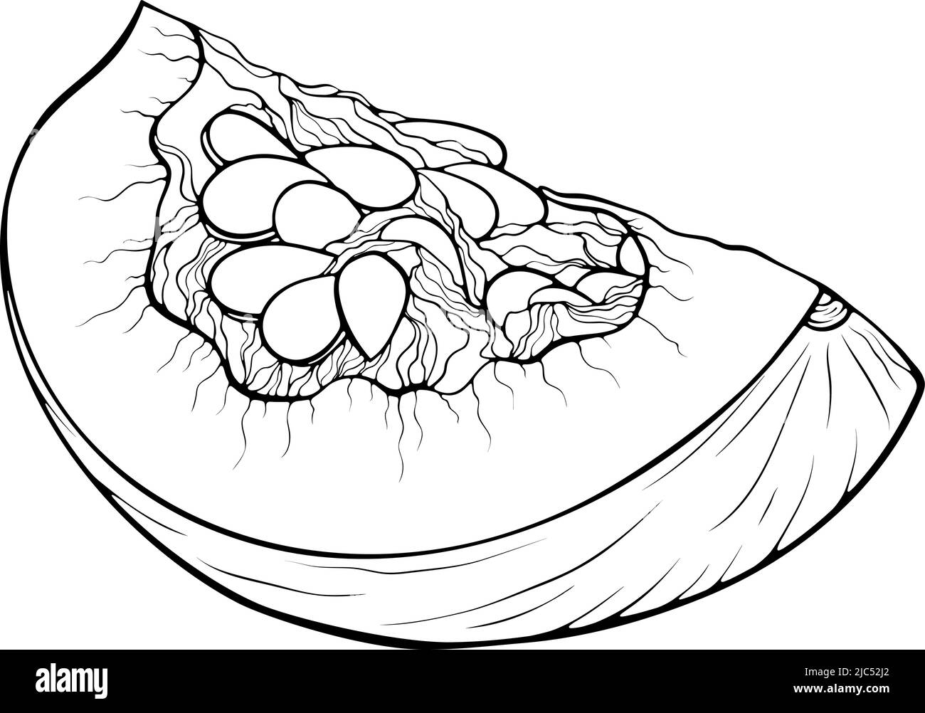 Quart d'art de la ligne de citrouille Illustration de Vecteur