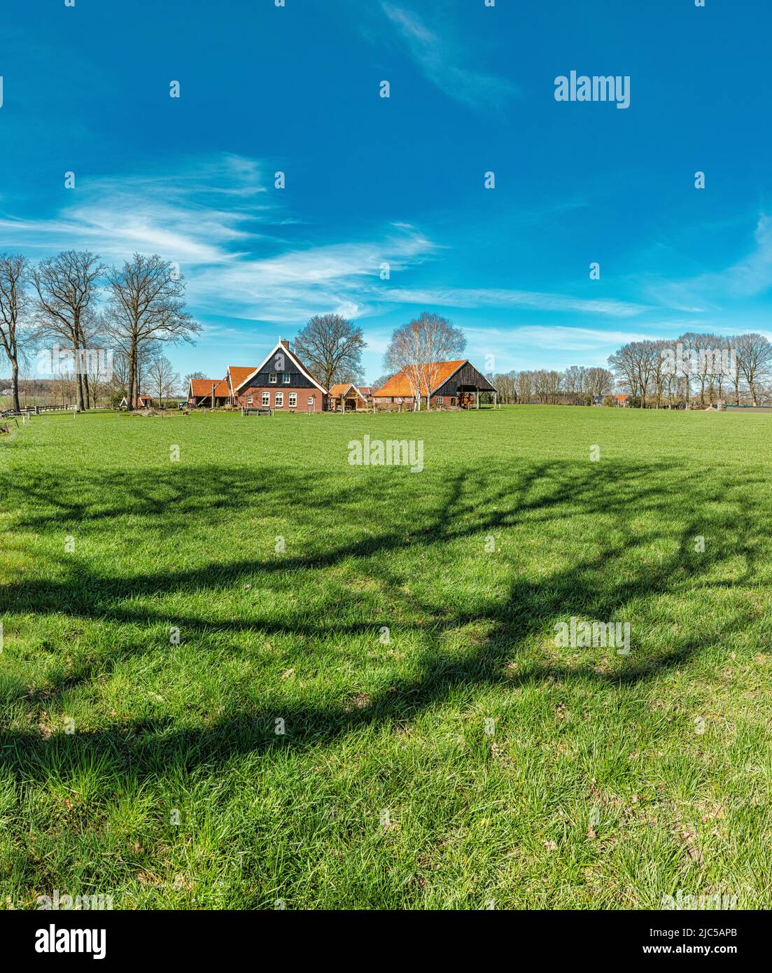 Fermes de type Saxe *** Légende locale *** pays-Bas,ferme, champ, prairie, hiver, ,Nutter, Overijssel , pays-Bas, ferme, champ, prairie, winte Banque D'Images