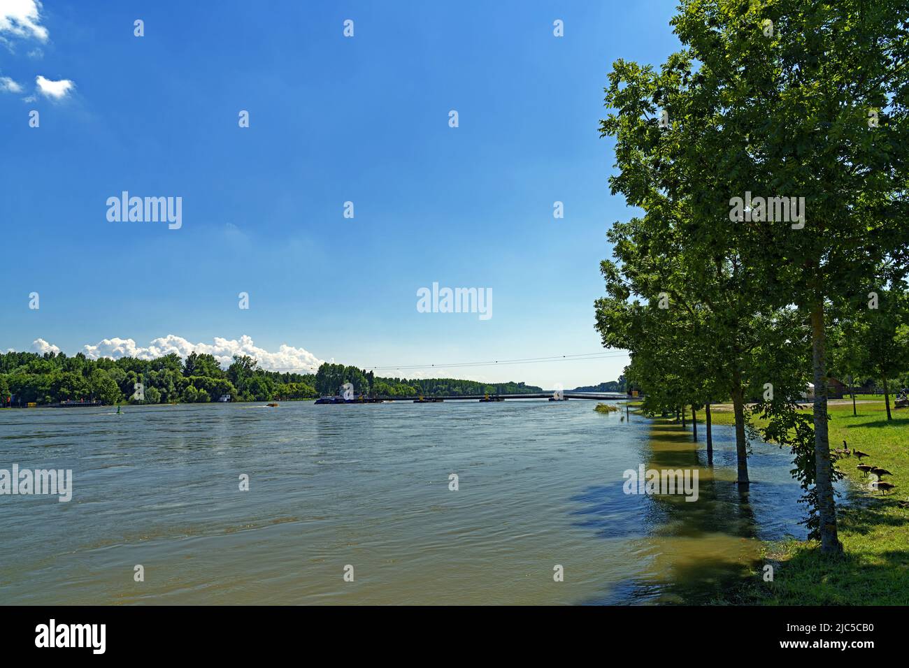 Fluß, Rhein, Hochwasser, Fähranleger Rheinfähre Seltz - Plittersdorf Banque D'Images