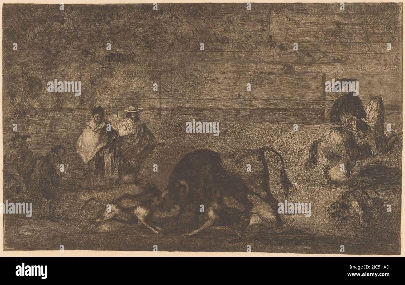 Cinq chiens attaquent un taureau dans une arène. Un chien est blessé au sol. Sur la droite un homme à cheval, vu de derrière. En haut à droite : C., Bull attaqué par des chiens les chiens lâchés sur le taureau Bullfighing (titre de la série) la Taureaumachie (titre de la série) la Tauromaquia (titre de la série), imprimeur: Francisco de Goya, éditeur: Eugène Loizelet, imprimeur: Espagne, éditeur: Paris, 1876, papier, gravure, h 244 mm × l 352 mm Banque D'Images