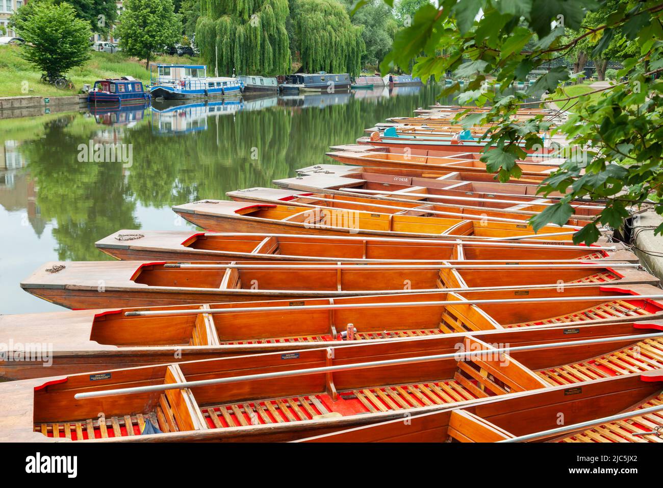 Des bateaux de pêche amarrés sur la rivière Cam à Cambridge, en Angleterre. Banque D'Images