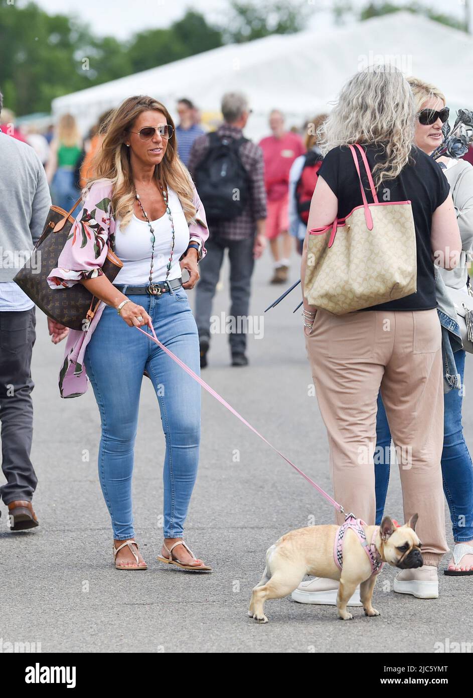 Brighton UK 10th juin 2022 - les foules profitent du soleil au South of England Show qui a lieu au Ardenly Showground, dans le Sussex UK . Le spectacle célèbre le meilleur de l'agriculture britannique sur trois jours : Credit Simon Dack / Alay Live News Banque D'Images