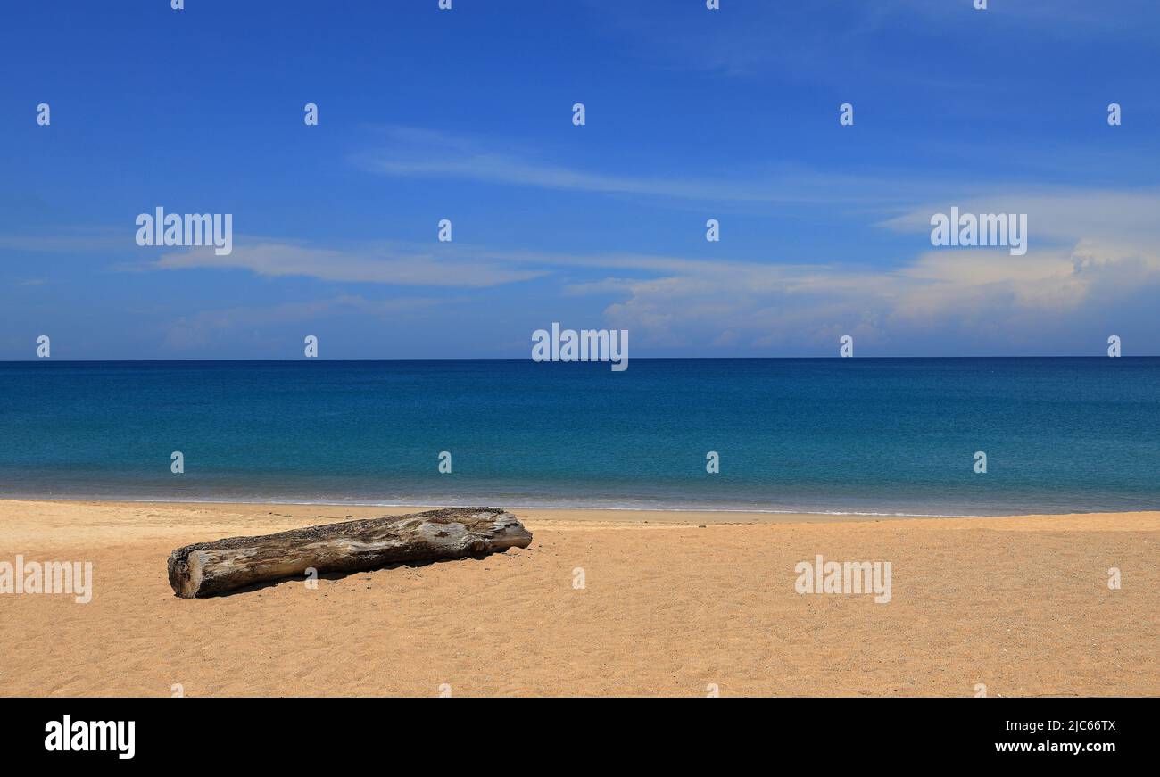 bois sur la plage, belle plage avec une bûche morte nuages blancs, ciel bleu, mer. Banque D'Images