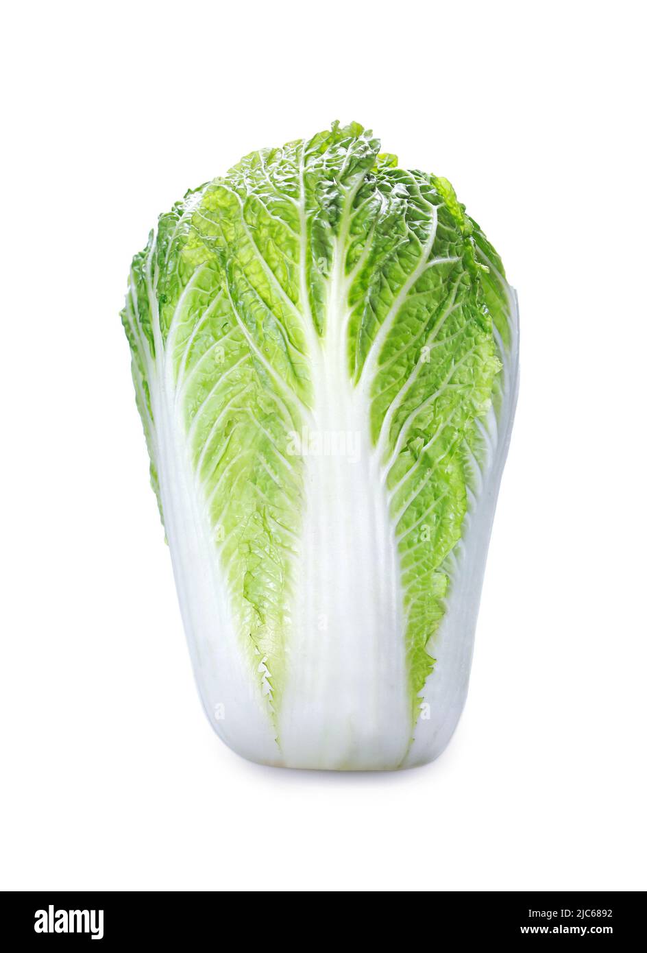 Chou chinois isolé sur fond blanc. Banque D'Images