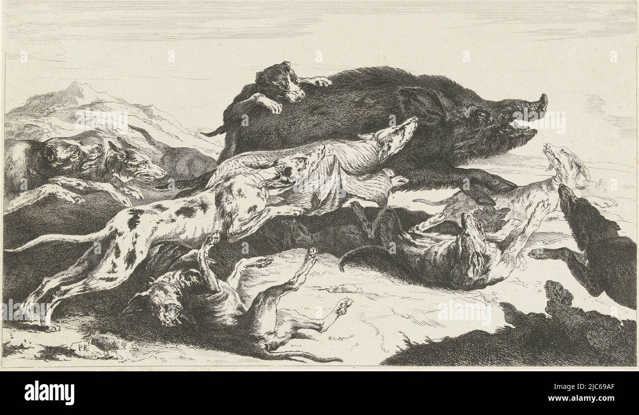Wildezwijnenjacht. Un paquet de chiens chase un sanglier., chiens chassent un sanglier, imprimeur: William Young Ottley, Peeter Boel, Peeter Boel, Londres, 1828, papier, gravure, h 192 mm × l 328 mm Banque D'Images
