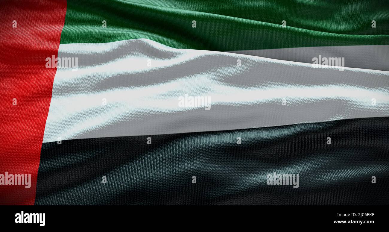 Illustration du drapeau national des Émirats arabes Unis. Symbole du pays. Banque D'Images
