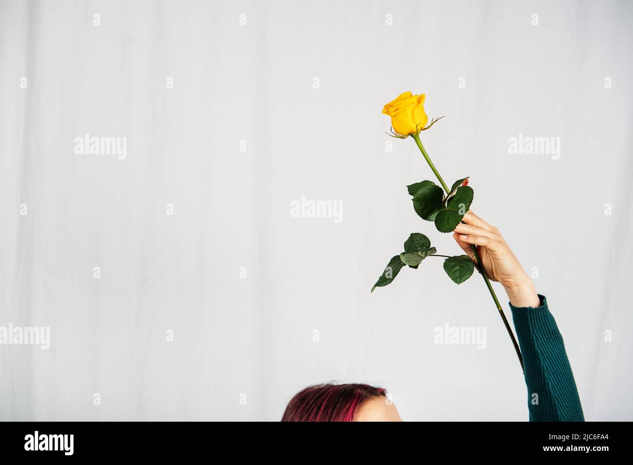 Femme avec une fleur rose jaune à la main sur fond clair. Banque D'Images