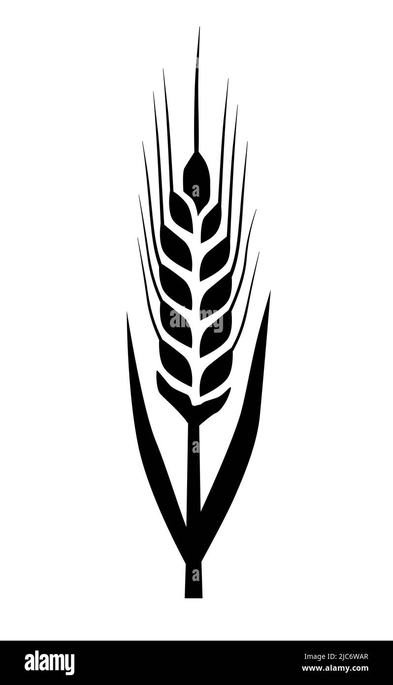 Symbole de la plante d'oreille de blé et de grain icône d'illustration de vecteur agricole Illustration de Vecteur