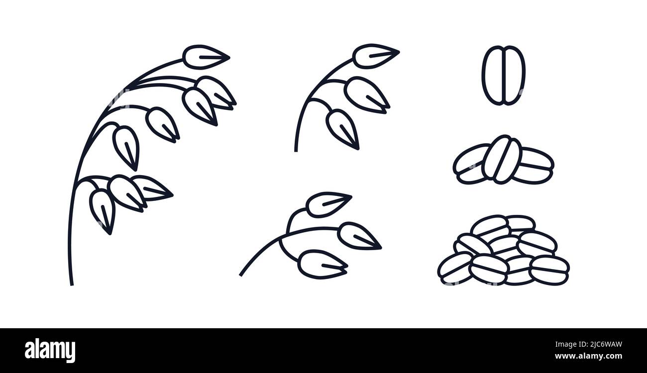 Symbole avoine et avoine avoine symbole avoine agriculture vecteur icône d'illustration Illustration de Vecteur