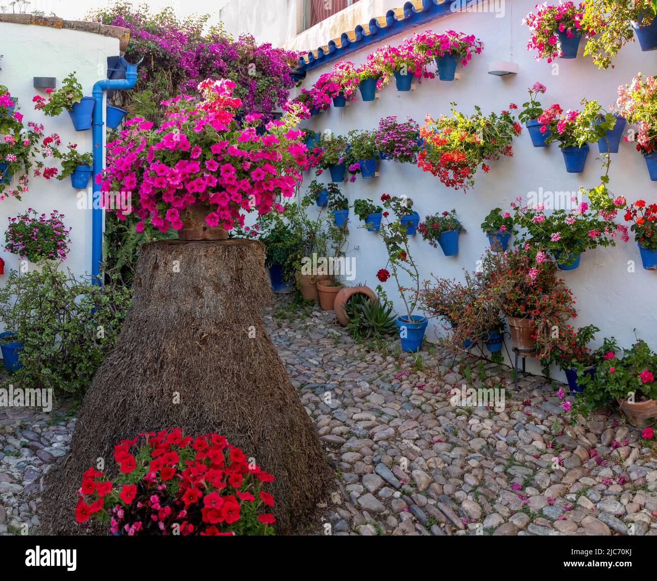 Fuente en un patio lleno de flores en primavera, Córdoba, España Banque D'Images