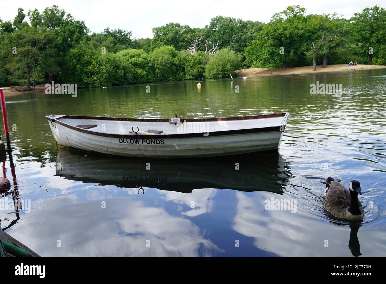 Londres, Royaume-Uni. 10th juin 2022. Location de bateau à Hollow Ponds à Leytonstone, Londres, Royaume-Uni. - 10 juin 2022. Crédit : voir Li/Picture Capital/Alamy Live News Banque D'Images