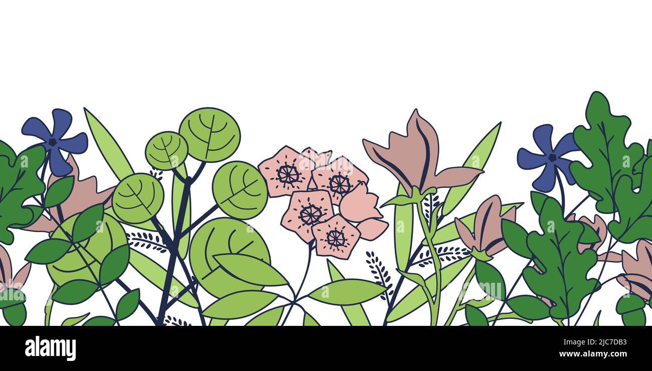 Fond vectoriel de plantes forestières sans couture Illustration de Vecteur