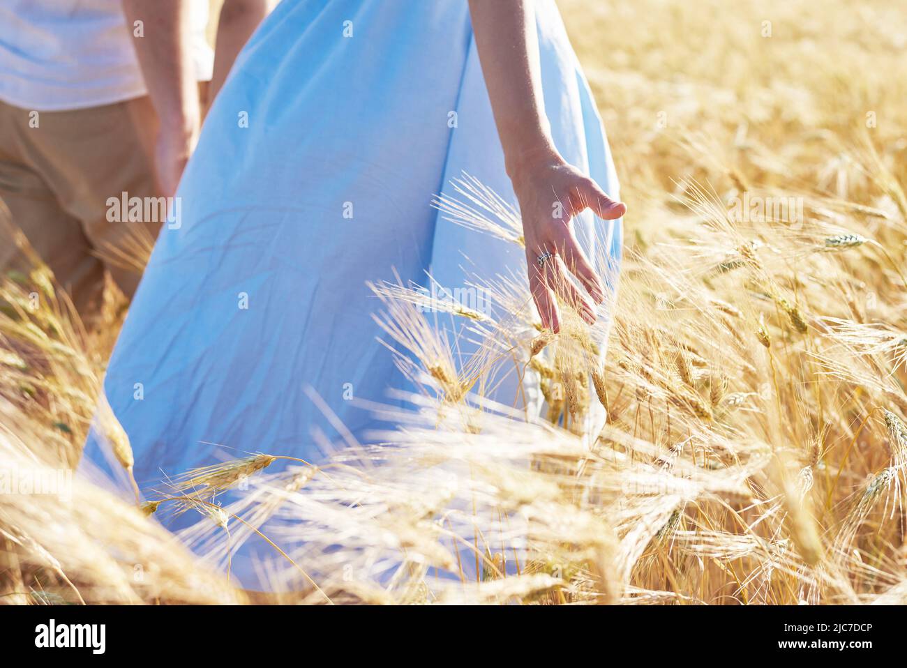Un couple amoureux marche à travers un champ de blé. Gros plan de la main de la fille touchant le blé Banque D'Images