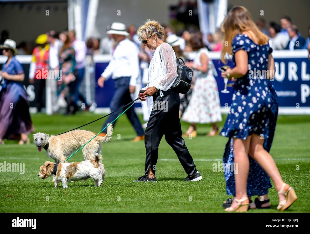 Londres, Royaume-Uni. 10th juin 2022. Des spectateurs marchent sur le terrain à mi-temps pendant la Journée internationale de Cudos, Chestertons Polo dans le parc de Hurlingham Park, Londres, Royaume-Uni, le 10 juin 2022. Photo de Phil Hutchinson. Utilisation éditoriale uniquement, licence requise pour une utilisation commerciale. Aucune utilisation dans les Paris, les jeux ou les publications d'un seul club/ligue/joueur. Crédit : UK Sports pics Ltd/Alay Live News Banque D'Images