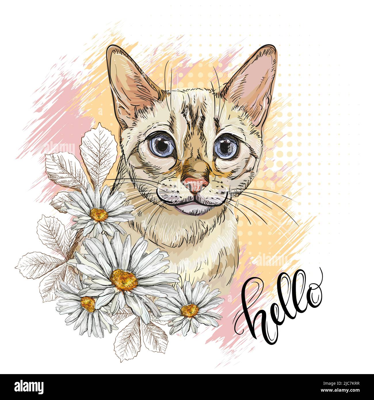 Tête de chat Bengale en fleurs de camomille. Bonjour citation lettrage. Imprimé dessiné à la main. Illustration vectorielle isolée sur blanc. Composition de t-shirts, imprimés, Illustration de Vecteur