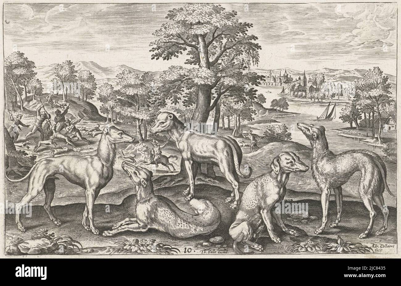 Cinq chiens de chasse au premier plan. En arrière-plan un paysage avec une rivière et une chasse au loup. L'imprimé fait partie d'une série avec des animaux comme sujets, chiens de chasse animaux à quatre pattes Animalivm Qvaddrvpedvm , imprimerie: Adriaen Collaert, (mentionné sur l'objet), Adriaen Collaert, éditeur: Theodoor Galle, (mentionné sur l'objet), Anvers, 1595 - 1633, papier, gravure, h 124 mm × l 189 mm Banque D'Images