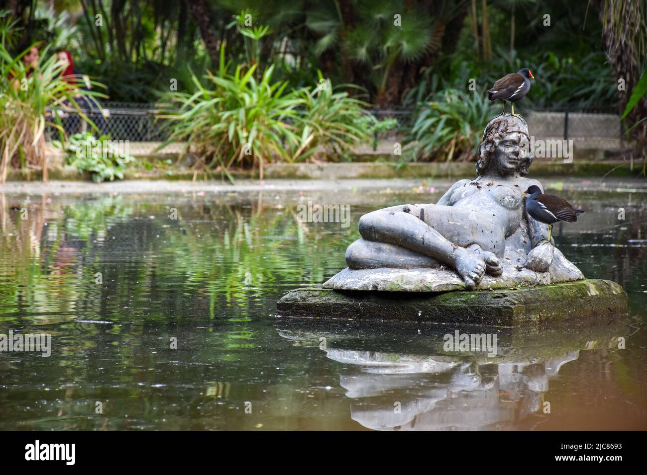 De beaux oiseaux sur une sculpture de femme sur un lac dans le parc. Banque D'Images