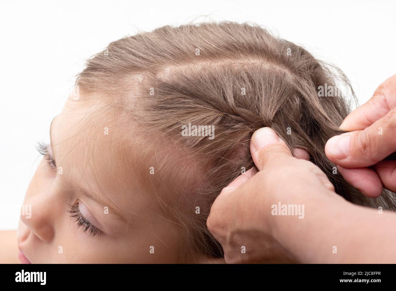 Les mains écourtées plaissent les tresses de la tête de l'enfant sur fond blanc Banque D'Images