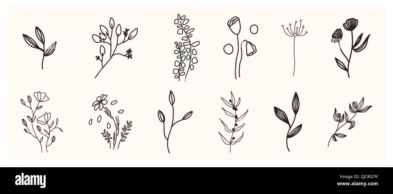 Collection d'éléments botaniques de style minimaliste isolés. Ensemble floral de fleurs dessinées à la main, plantes avec feuilles et herbes illustration vectorielle Banque D'Images