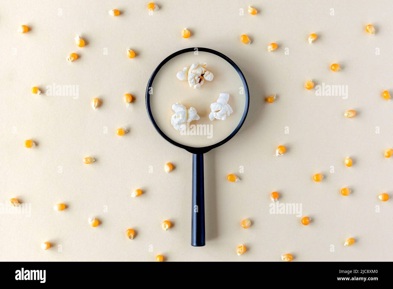 Un motif avec du maïs et une loupe à travers laquelle le popcorn peut être vu. Vue à travers