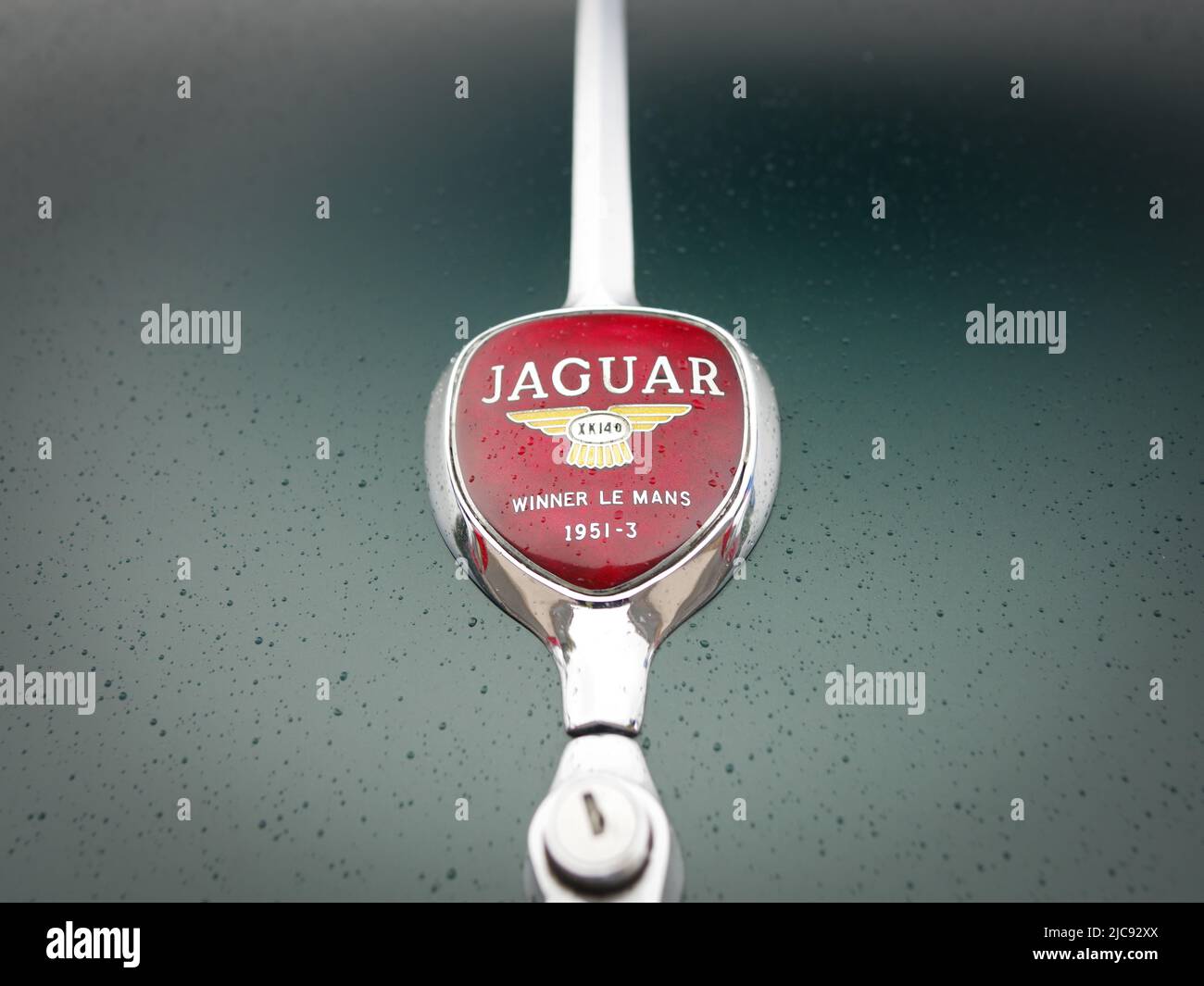 Badge de coffre Jaguar Banque D'Images