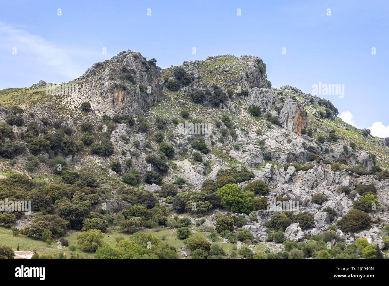 Parc national de la Sierra de Grazalema, montagnes à Cadix, Andalousie, Espagne. Banque D'Images