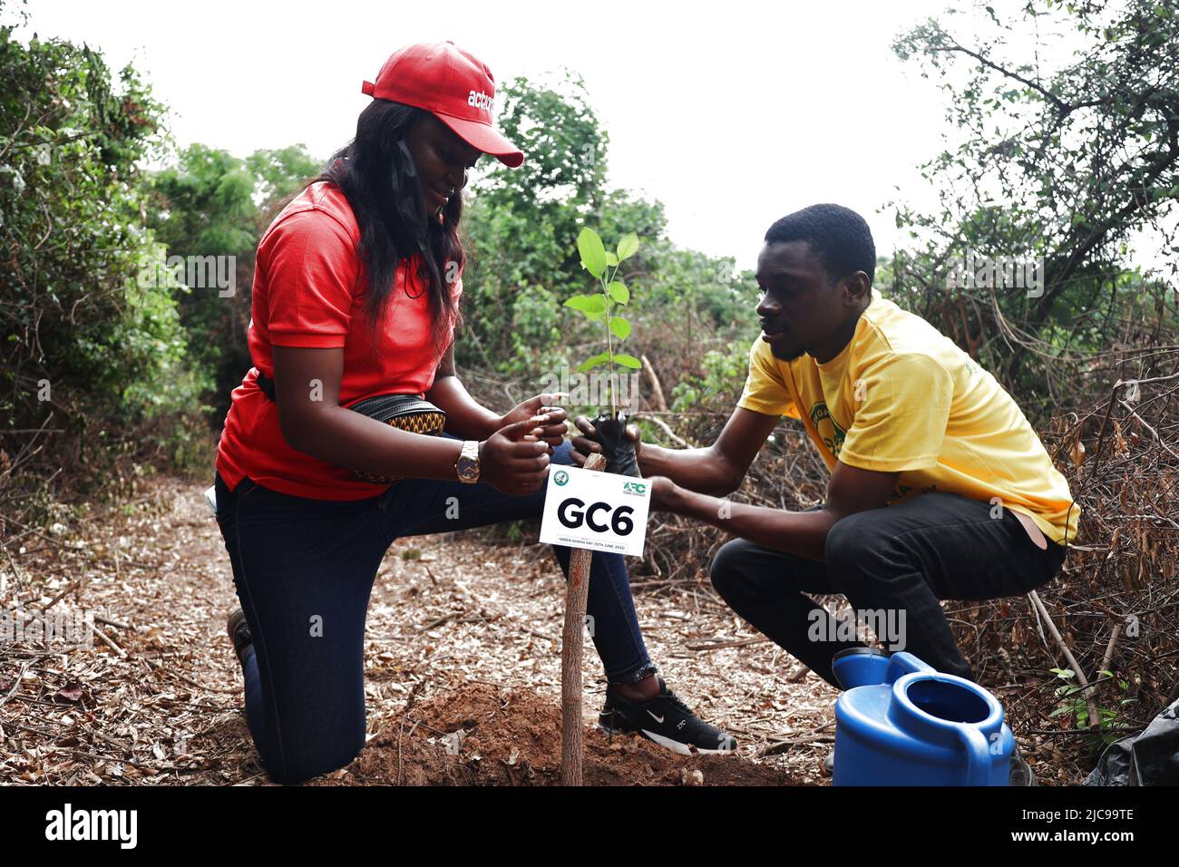 Accra, Ghana. 10th juin 2022. Des volontaires plantent une plantule dans une forêt à Accra, Ghana, 10 juin 2022. Vendredi, le gouvernement ghanéen s'est engagé à planter au moins 20 millions d'arbres au cours de cette année pour restaurer les forêts à l'échelle nationale. Le Président Nana Addo Dankwa Akufo-Addo a fait cet appel lors d'une activité de plantation d'arbres dans la capitale pour commémorer la deuxième Journée verte du Ghana. Credit: Seth/ Xinhua/Alay Live News Banque D'Images