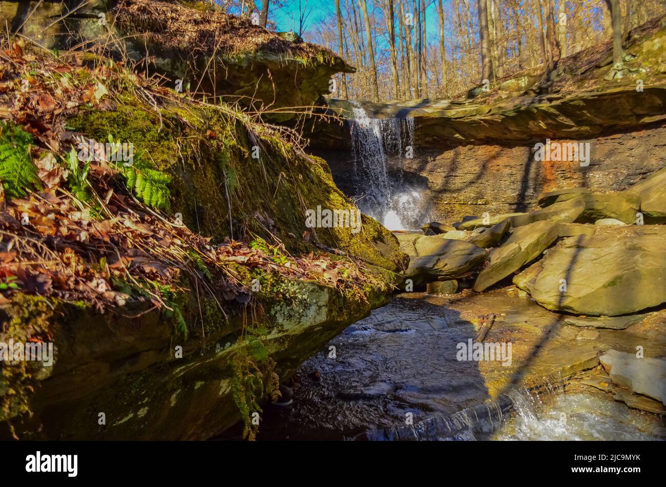 Une petite cascade en automne dans la forêt du parc Brandywine Creek dans le parc national de Cuyahoga Valley, Ohio. Banque D'Images