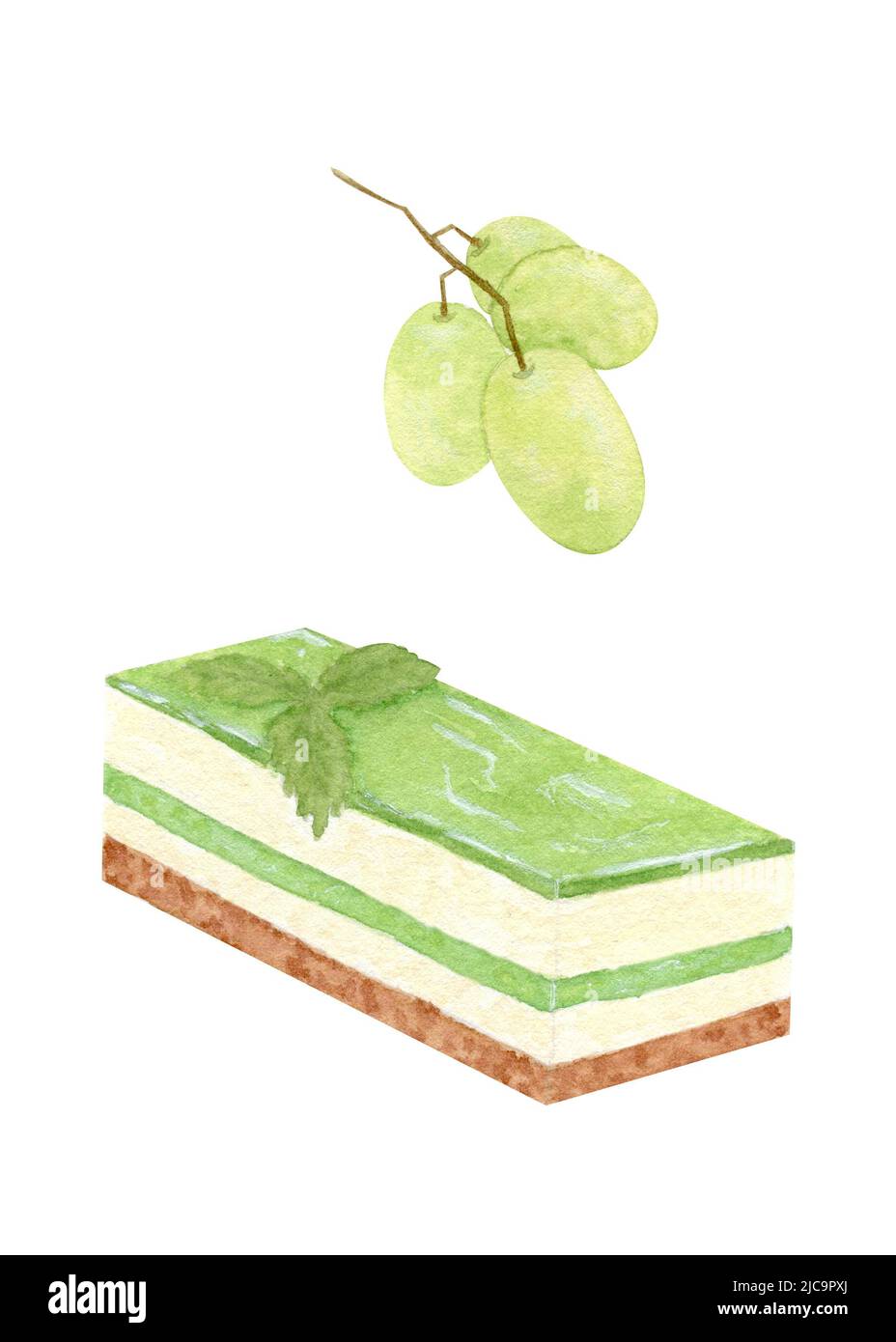 Gâteau aux fruits d'aquarelle. Gâteau de gelée à la crème de beurre et aux fruits fondants avec un bouquet de raisins verts. Isolé sur fond blanc. Banque D'Images