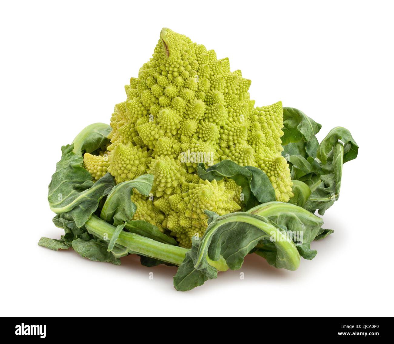 chemin de brocoli romanesco isolé sur blanc Banque D'Images