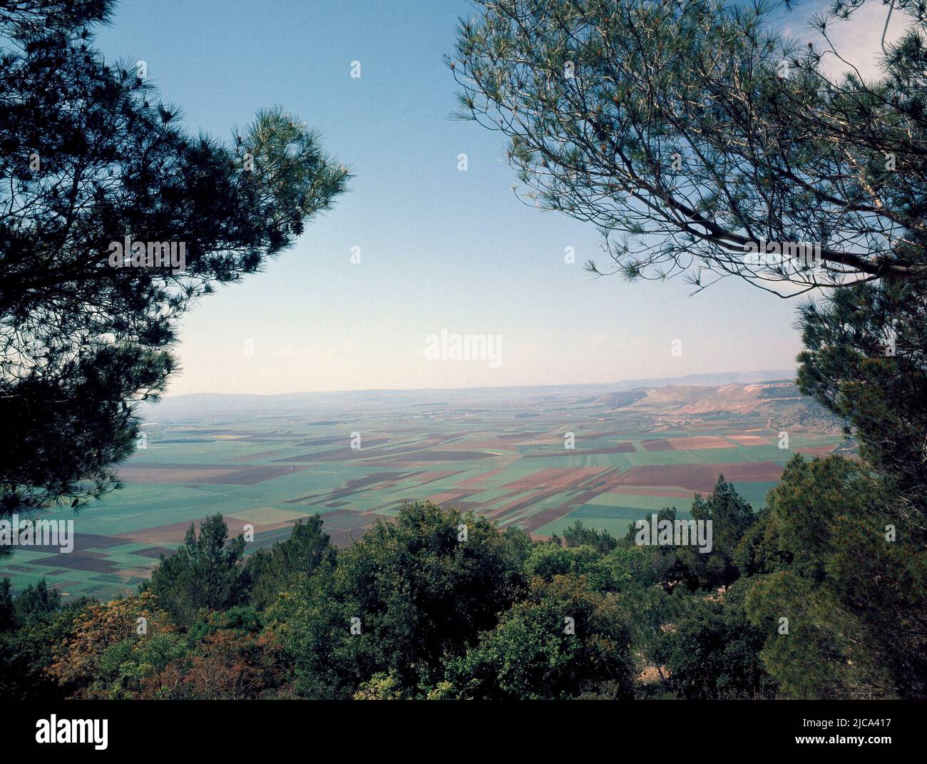 PANORAMICA DESDE EL MONTE TABOR - FOTO AÑOS 60. LIEU: VALLE DE ISRED. GALILÉE. ISRAËL. Banque D'Images