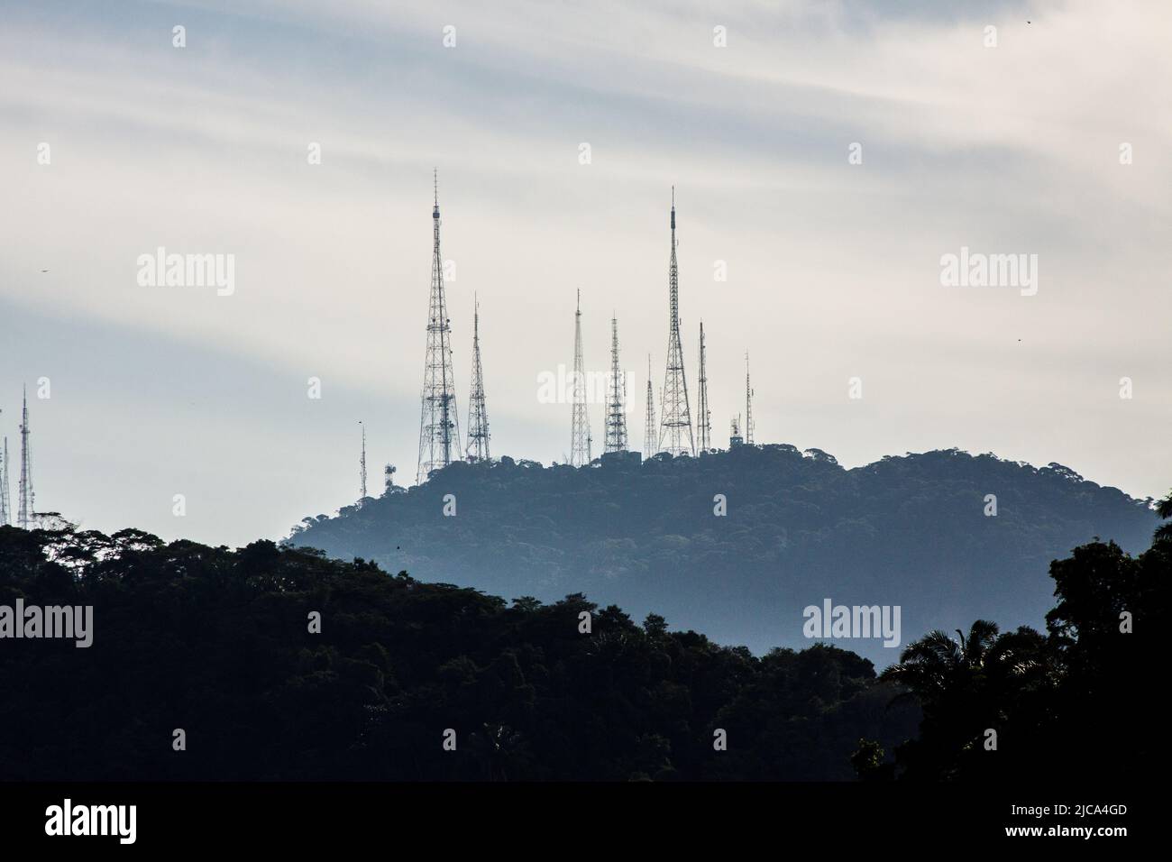 Antenne sumare dans le parc national de tijuca à Rio de Janeiro. Banque D'Images