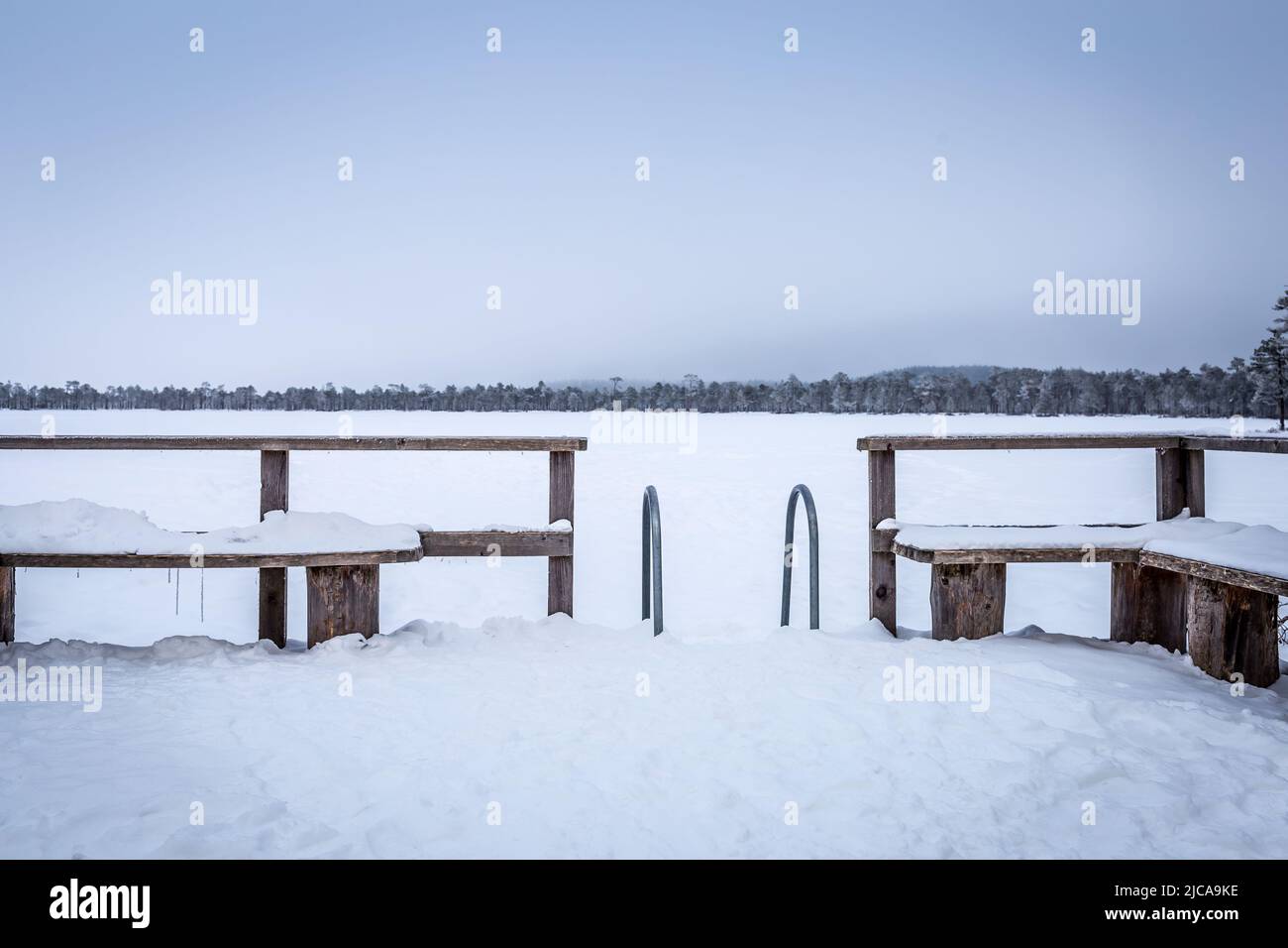 Paysage d'hiver estonien avec lac gelé et forêt Banque D'Images
