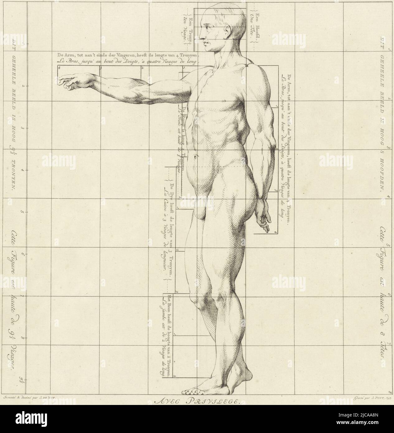 Vue latérale, avec un bras tendu, étude de proportion du corps d'un homme dessin Livre des proportions du corps humain proportions du corps humain Humain , imprimerie: Jan Punt, (mentionné sur l'objet), dessinateur intermédiaire: Jacob de Wit, (mentionné sur l'objet), inconnu, (mentionné sur l'objet), Amsterdam, 1747, papier, gravure, gravure, h 380 mm × l 379 mm Banque D'Images