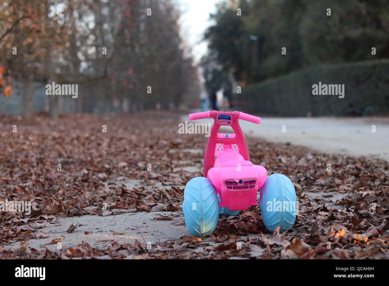 moto enfant dans le champ Banque D'Images