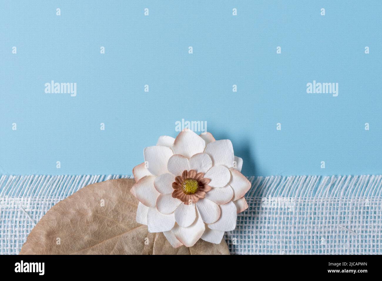bordure inférieure de fleur en papier simple avec toile de jute blanche à franges et feuilles sèches Banque D'Images