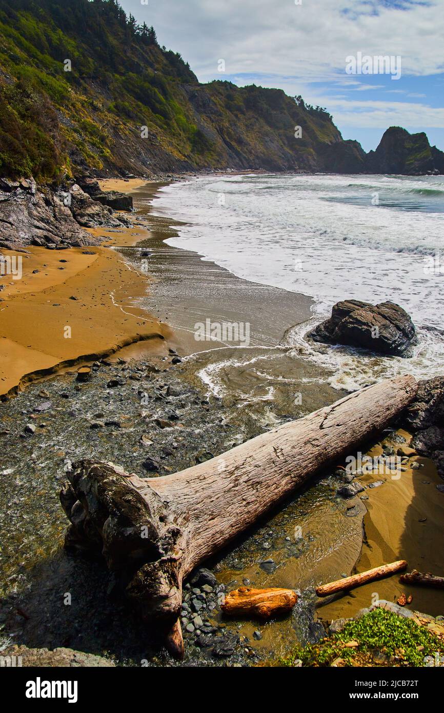 Grande plage en bois avec falaises et vagues de l'océan Banque D'Images