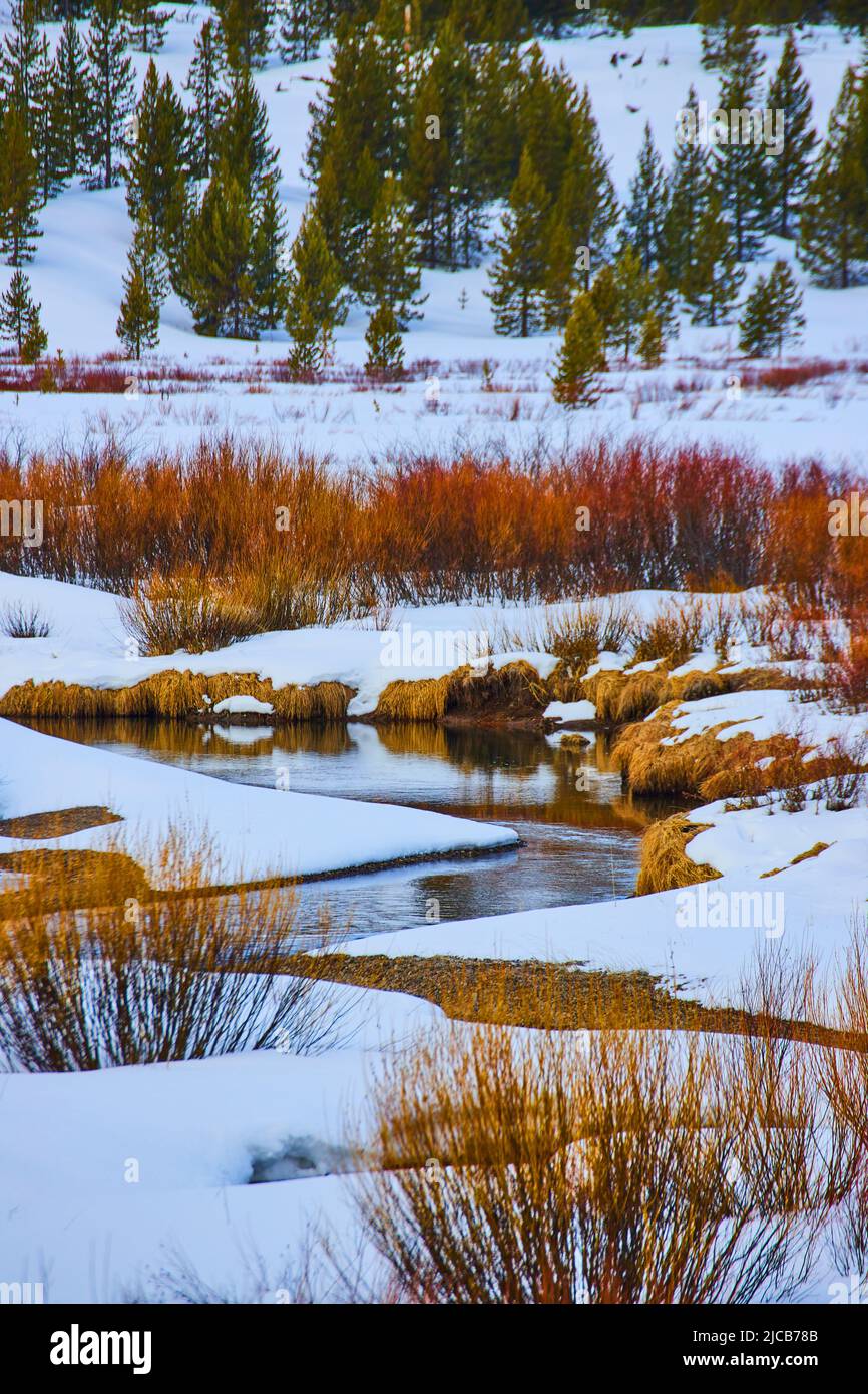 Ruisseau majestueux à travers des plaines enneigées avec des herbes rouges Banque D'Images