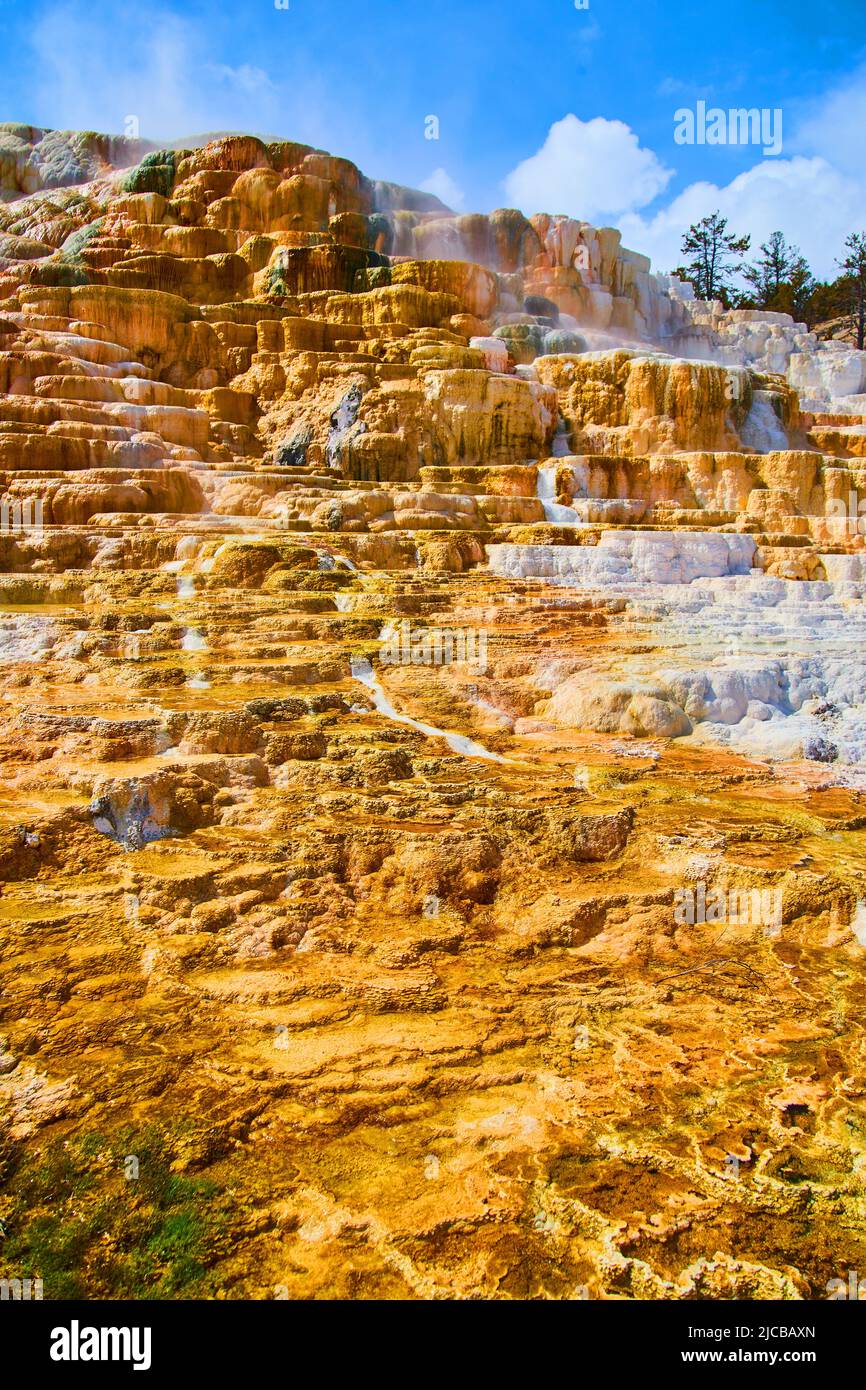 Majestueuses terrasses de sources chaudes de Yellowstone en hiver Banque D'Images