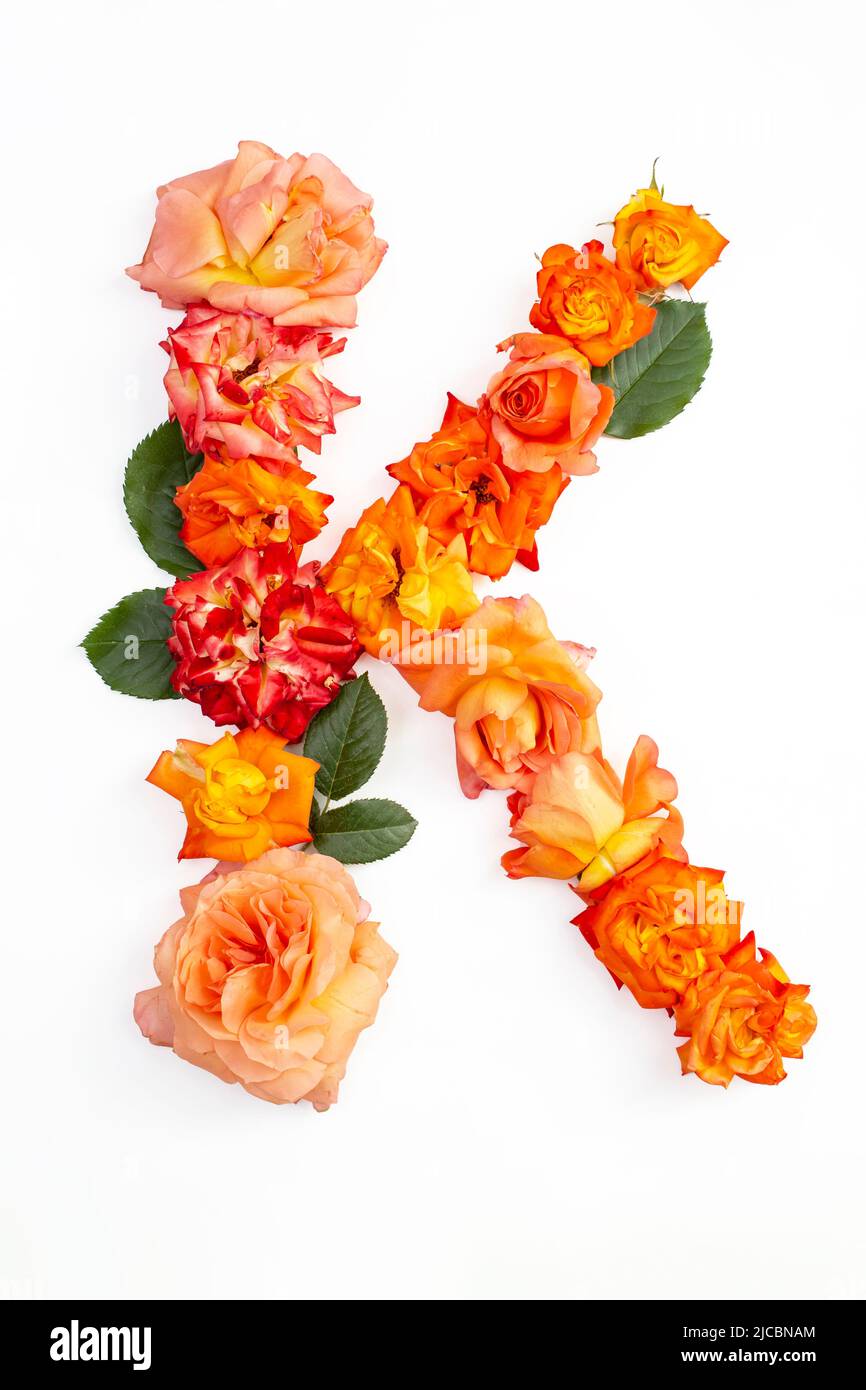 Lettre majuscule K faite de roses rouges orange, isolée sur fond blanc Banque D'Images