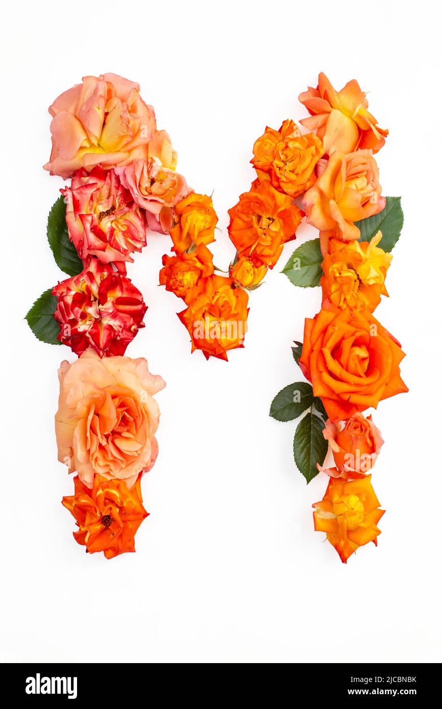 Lettre majuscule M faite de roses rouges orange, isolée sur fond blanc Banque D'Images