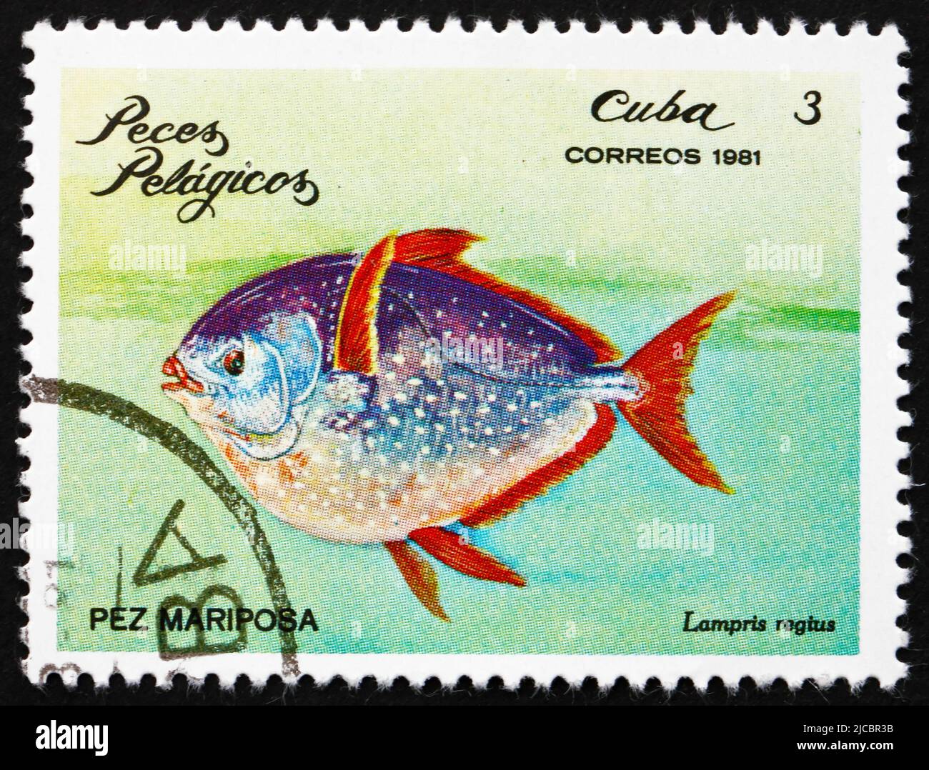 CUBA - VERS 1981 : un timbre imprimé à Cuba montre le poisson de lune, Lampris Regius, poisson pélagique, vers 1981 Banque D'Images