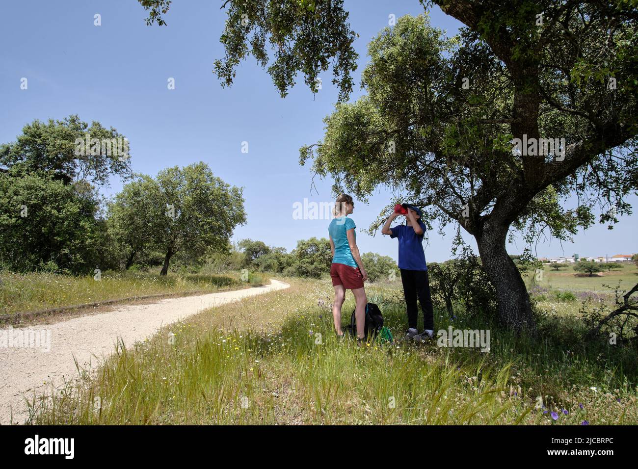 Les voyageurs qui prennent une pause dans la campagne en été Banque D'Images