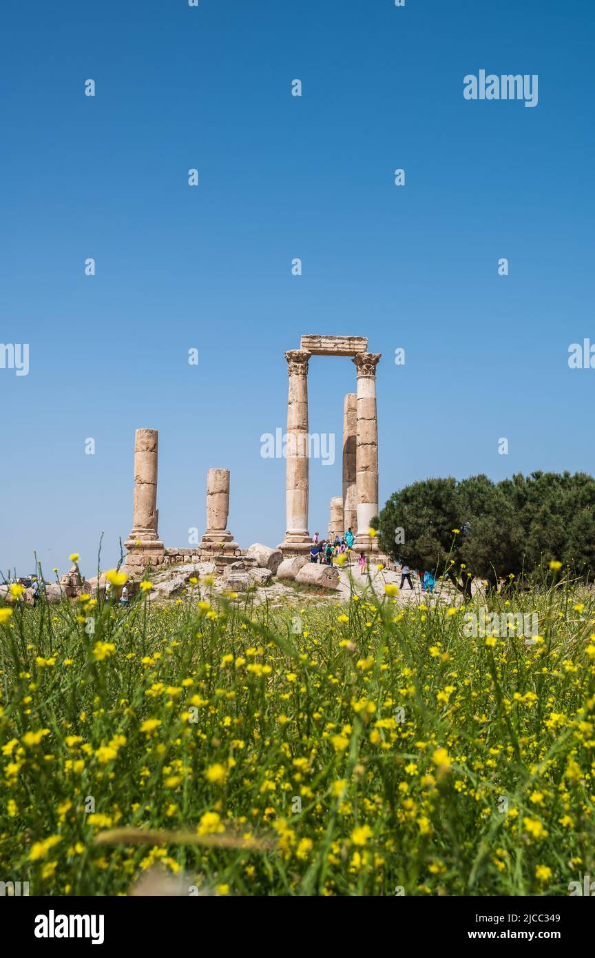 Amman, Jordanie - 2 mai 2022 : site archéologique de la Citadelle d'Amman et du Temple d'Hercules au centre du centre-ville d'Amman, capitale de la Jordanie sur un soleil Banque D'Images
