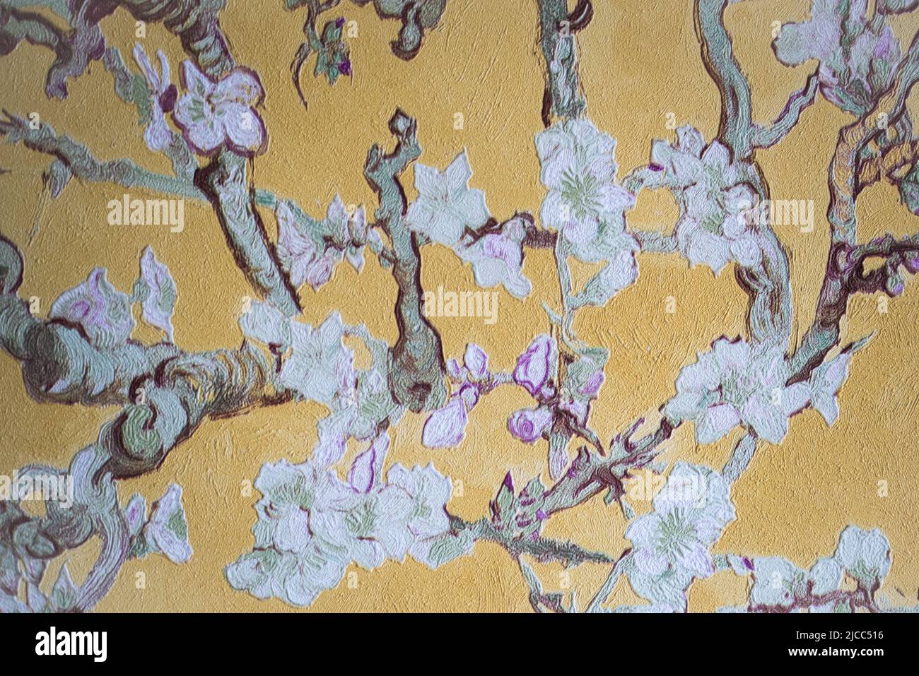 Den Helder, pays-Bas, mai 2022. Gros plan sur le papier peint de la fleur d'amandiers de Van Gogh. Photo de haute qualité Banque D'Images